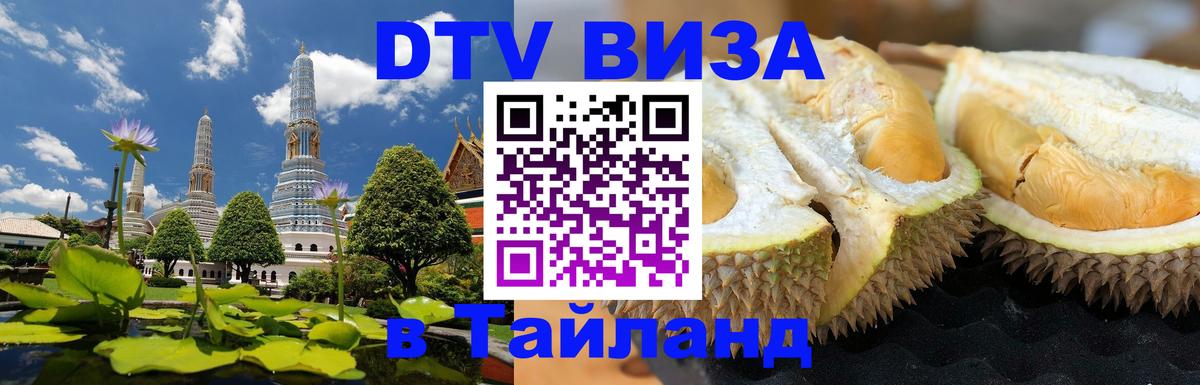 Оформление DTV визы под ключ: стоимость и тарифы, только загранпаспорт - Тирасполь 